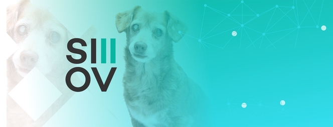 Simpósio Internacional de Oftalmologia Veterinária