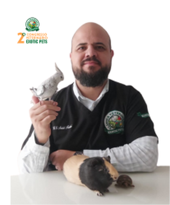 André Nicolai E Silva