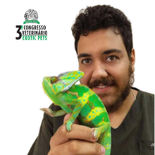 Rafael Amorim de Castro
