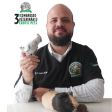André Nicolai E Silva