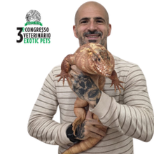 Alessandro Ferraz Abdo Bijjeni (Puff)
