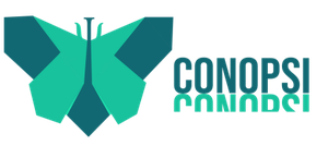 IV Congresso Brasileiro Online de Psicologia